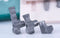 ArchBridge™ IOS Package - Scan Bodies, Screws, Driver & Hub