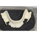 Acetal Frame with Model (Mandible)
